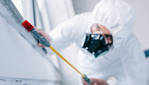 Best Residential Pest Control  in Delta Junction, AK